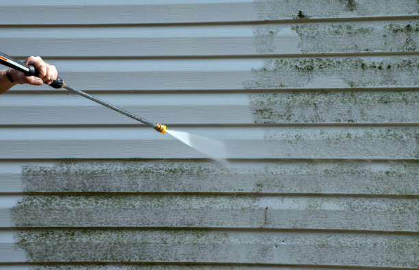 Best Building Exterior Washing  in Charles City, IA