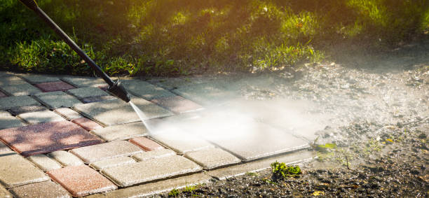 Best Roof Washing  in Charles City, IA